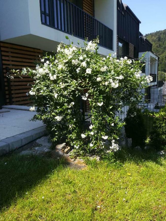 Apartament Zielony Szczyrk Eksteriør billede